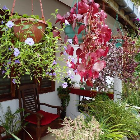 Gem Villa Weligama Exteriör bild