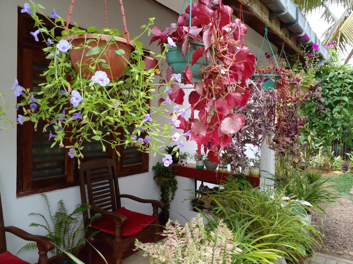 Gem Villa Weligama Exteriör bild