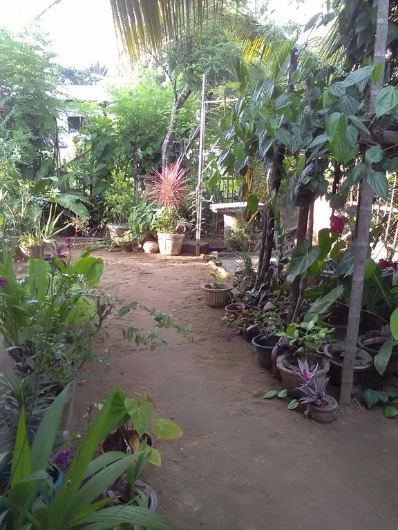 Gem Villa Weligama Exteriör bild