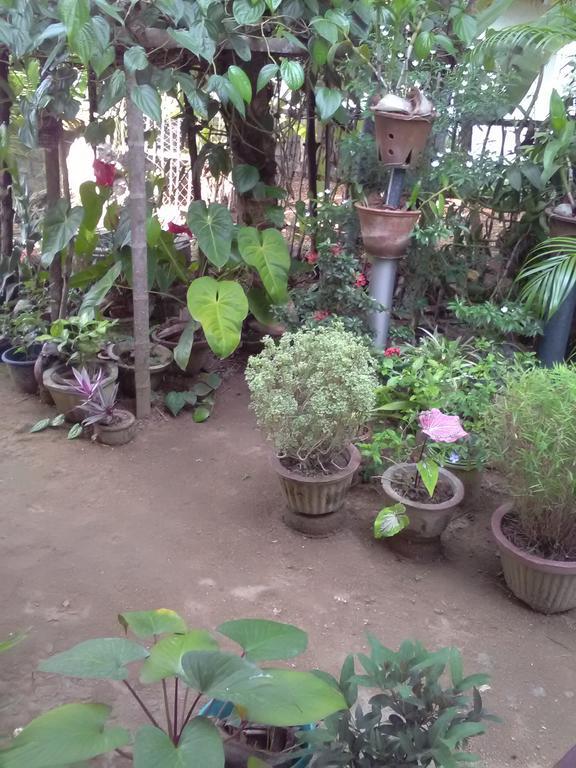 Gem Villa Weligama Exteriör bild
