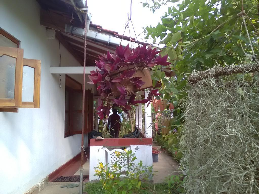 Gem Villa Weligama Exteriör bild